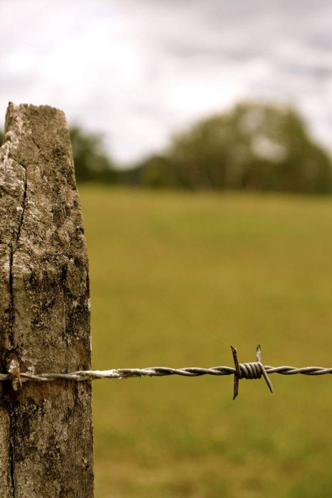 Treblinka- must see holocaust sites in Europe: barbed wire fence, green grass, concentration camp