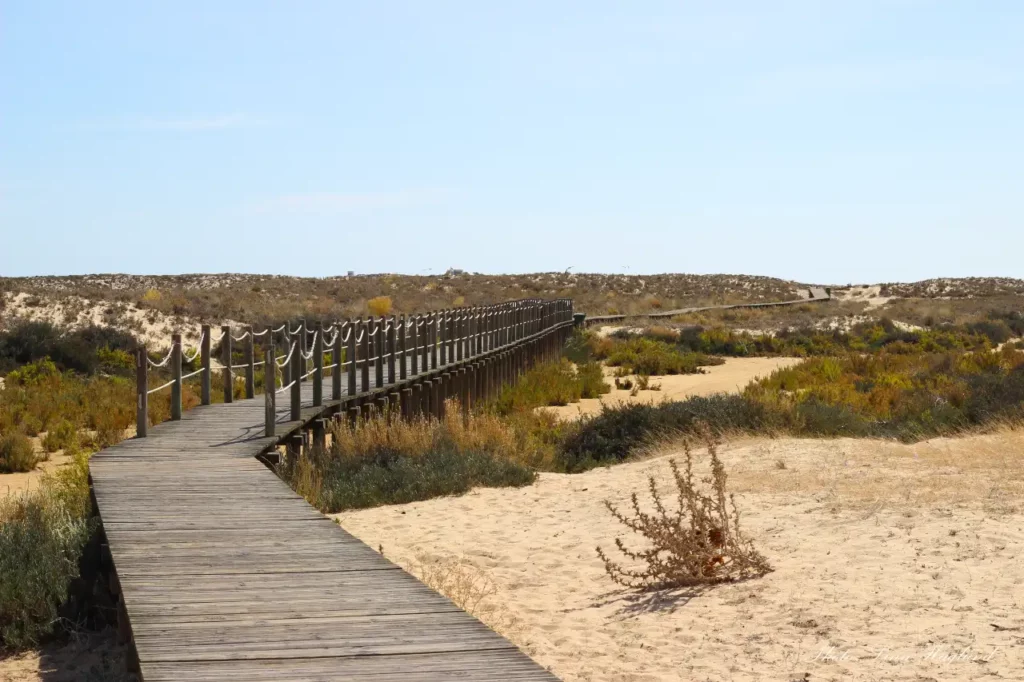 most unique places to visit in Europe, Ria Formosa Natural Park, Portugal