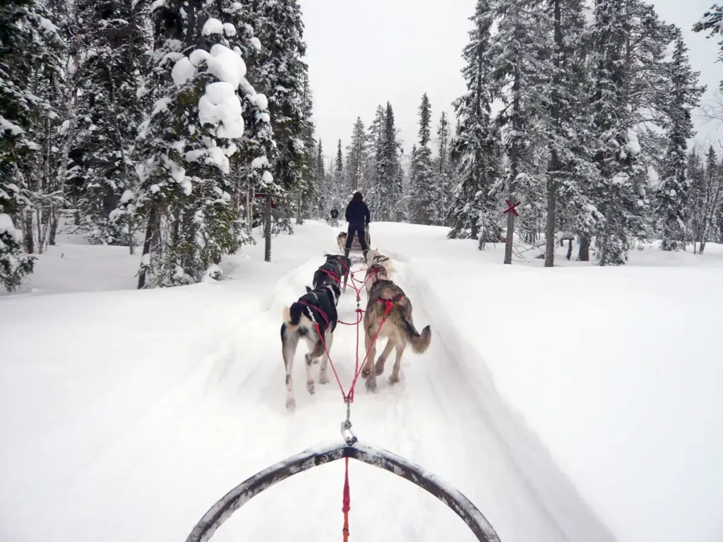 unique places to visit in Europe, Finnish Lapland