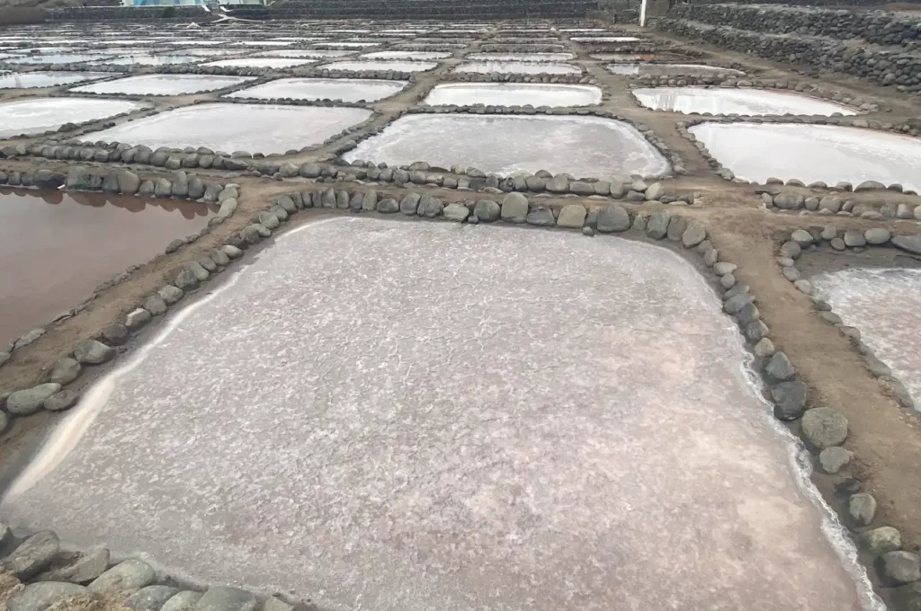 Salinas de Tenefé, is a great free place to stop on any Gran Canaria Road trip