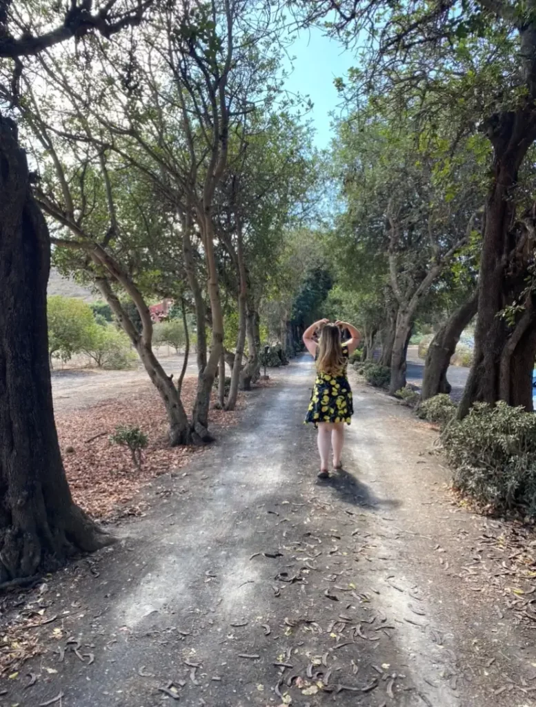 San Juan Vineyard, Gran Canaria road trip