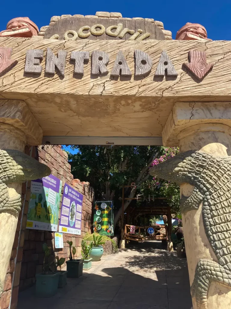 visiting the Croodile park in Gran Canaria is a fantastic day out for all