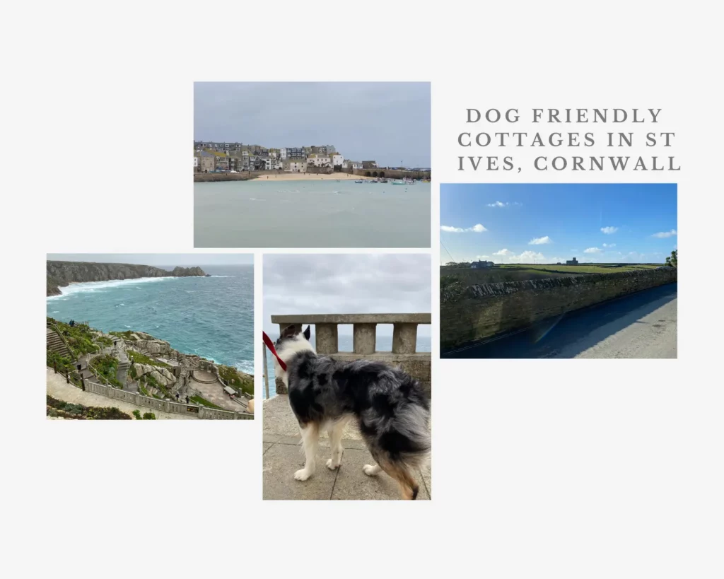 the best dog friendly cottages in St Ives, Cornwall