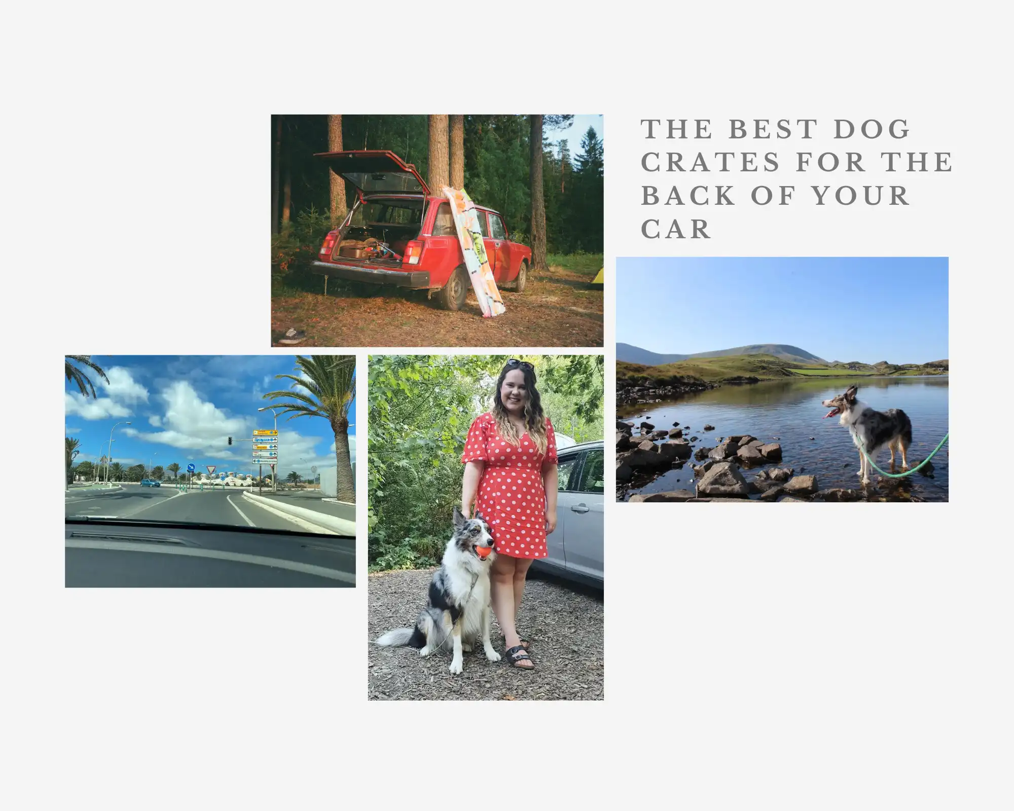 View of 9 Best Dog Crate Options For The Car Backseat 2024 - Many Other Roads