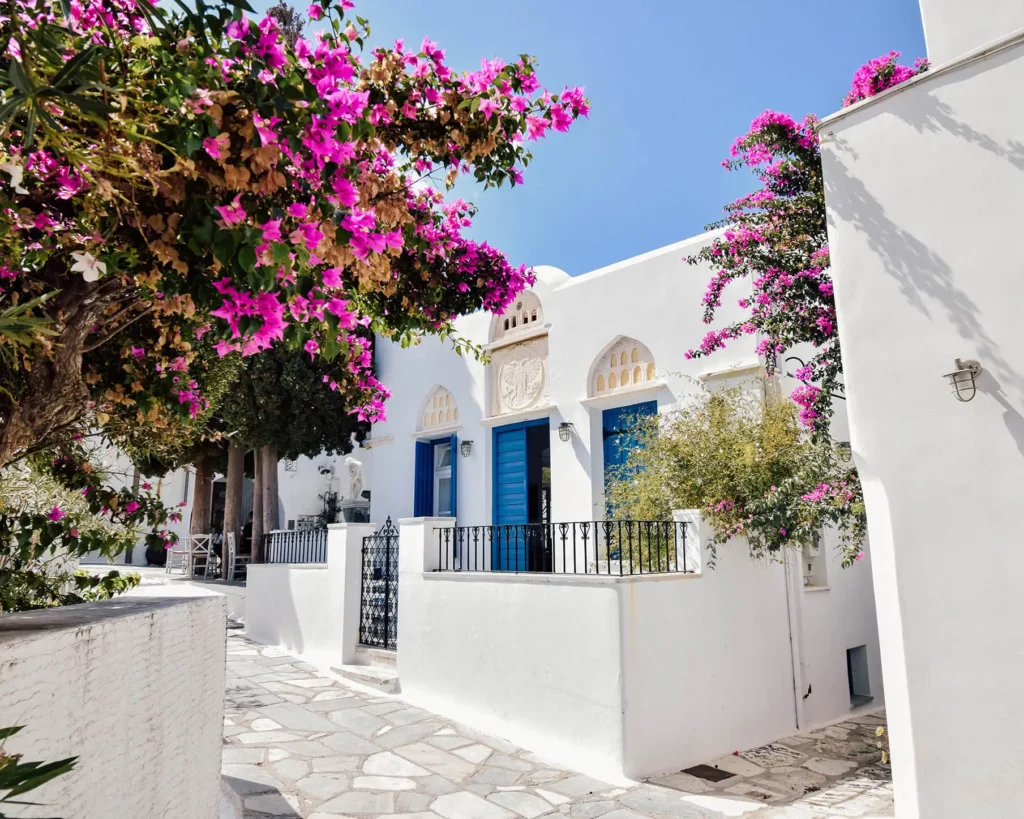 Tinos Road Trip is one of the best you can do in Greece- white buildings, blue doors, pink leaves trees, Tinos in Greece