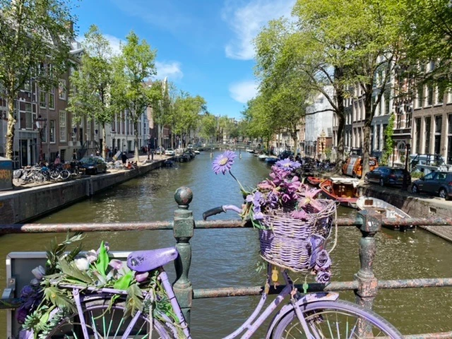 Is 3 days in Amsterdam Enough?- purple bike, flowers, canal, dutch houses, Amsterdam, Netherlands