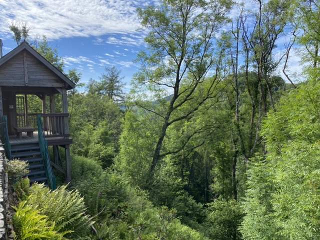 Log Cabins Near Pen Y Fan With Hot Tubs, green trees, forest views, wood cabin, Wales