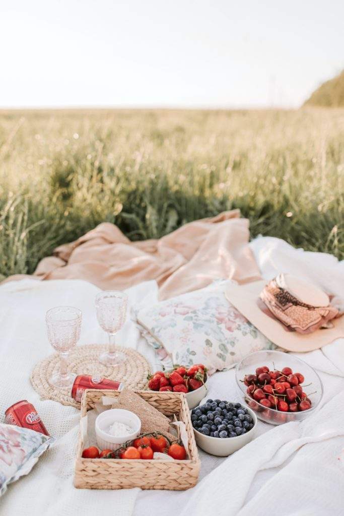 The Best Log Cabin In Brecon For Couples- picnic, white blanket, wine glasses, berries, grass field