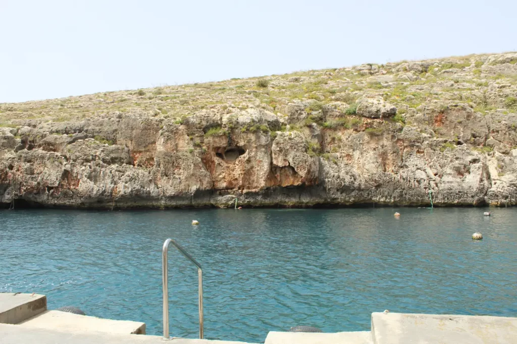 are there sharks in the blue lagoon?-steps into sea, blue waters, cliffside with grass, Malta