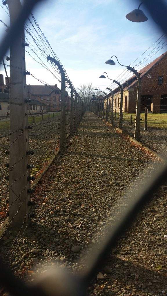 Auschwitz-Birkenau & Jewish Ghetto tour from Krakow- wire fence, gravel path, brown buildings, grass