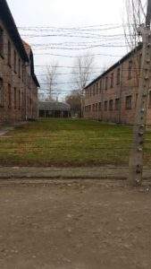 Auschwitz-Birkenau Self-Guided Tour With Private Transport from Krakow- barbed wire, brown buildings, grass