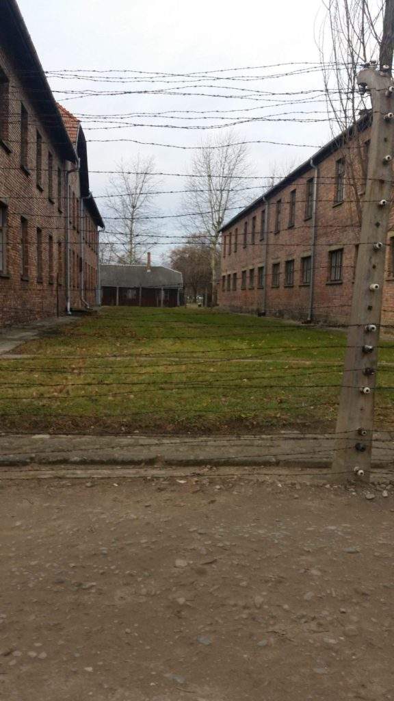 Auschwitz-Birkenau Self-Guided Tour With Private Transport from Krakow- barbed wire, brown buildings, grass